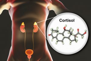 cortisol_feature