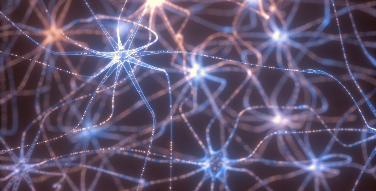 nootropic-Phosphatidylserine-effect-neuron