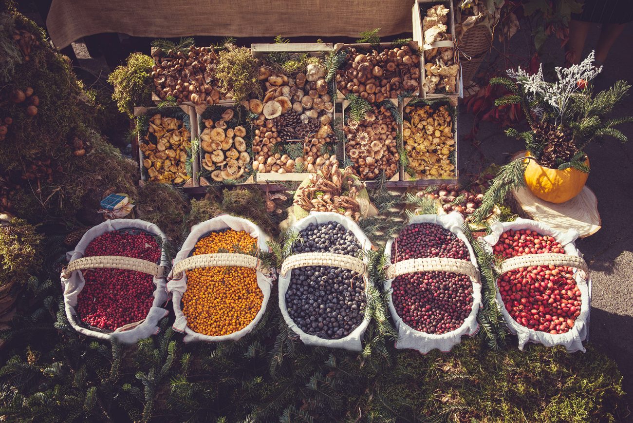 different-types-of-mountain-fruits-and-mushrooms