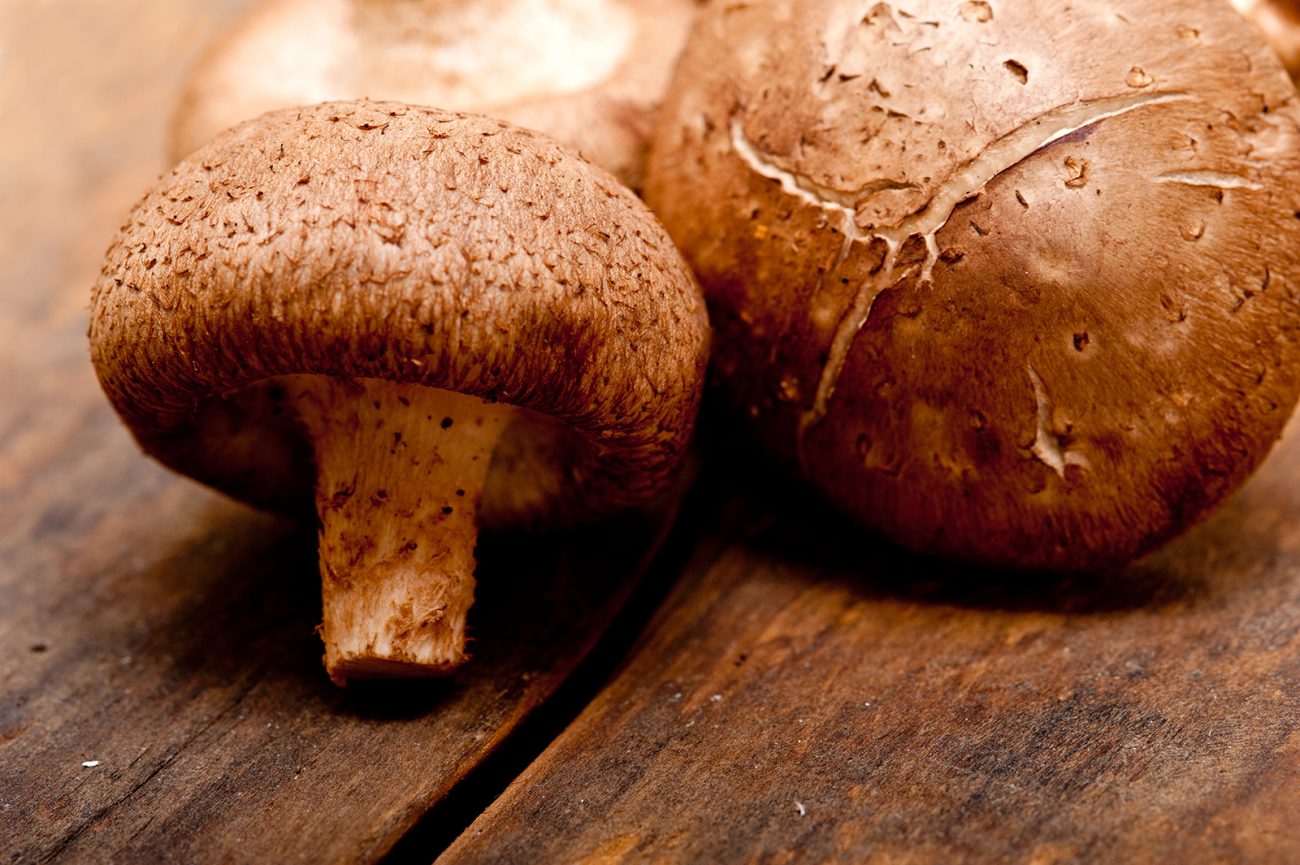 shiitake-mushrooms